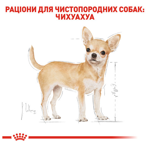 Сухий повнораційний корм для дорослих собак породи чихуахуа Royal Canin Chihuahua Adult віком від 8 місяців і старше 1.5 кг (2210015) фото №5