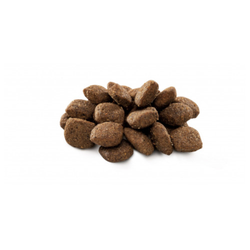 Сухий корм для собак Brit Premium Dog Sensitive Lamb 3 кг (8595602526628) фото №2