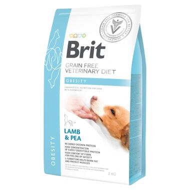 Сухий корм для собак Brit GF VetDiets Dog Obesity 2 кг (8595602528073) фото №1