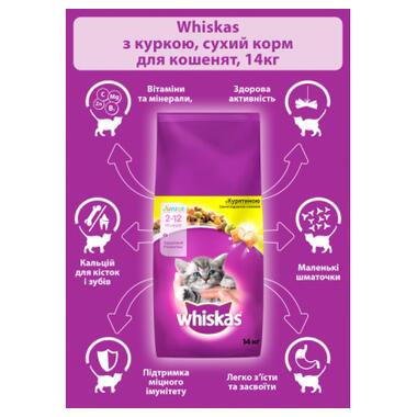Сухий корм для кішок Whiskas з куркою для кошенят 14 кг (5900951014369) фото №4