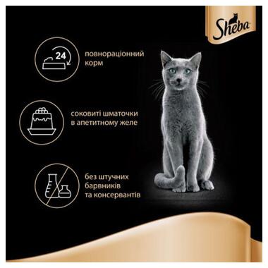Вологий корм для кішок Sheba cij POU з індичкою в желе 85 г (4770608257231) фото №6