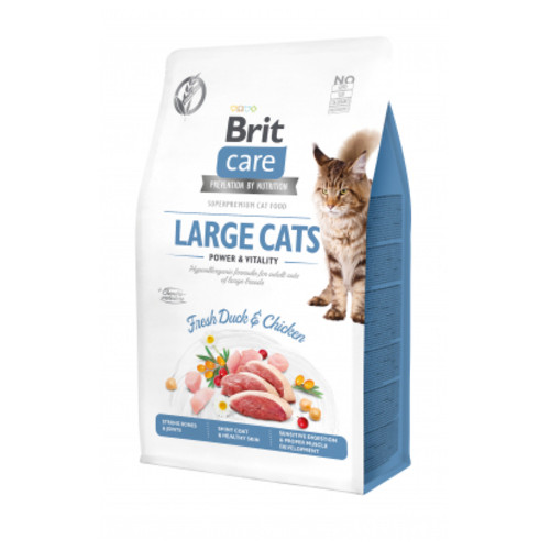 Сухий корм для кішок Brit Care Cat GF Великі кішки Power and Vitality 400 г (8595602540921) фото №1