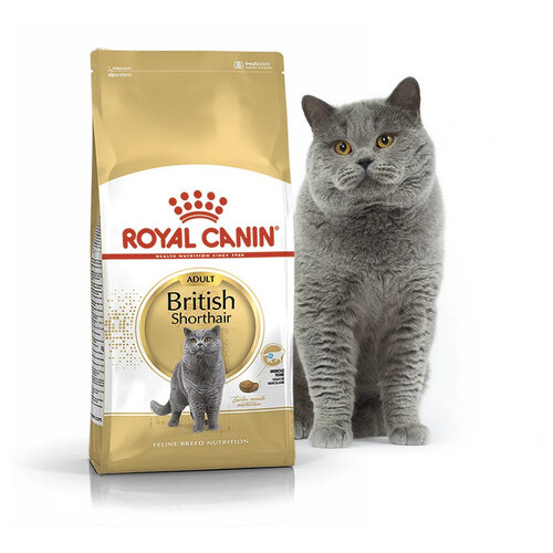 Сухий корм Royal Canin Adult British Shorthair для дорослих кішок породи Британська короткошерста 2 кг фото №1