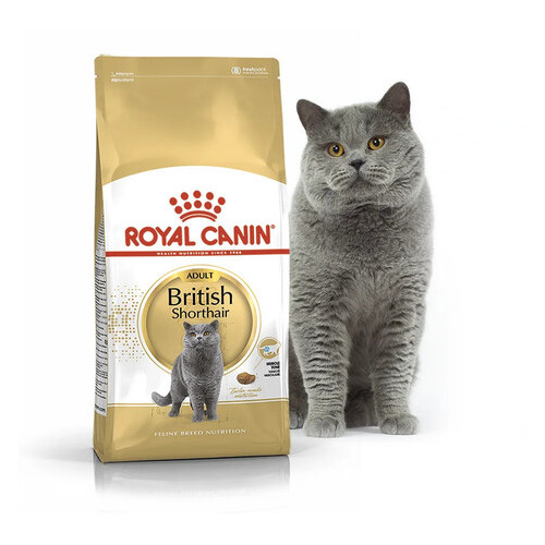 Сухий корм Royal Canin Adult British Shorthair для дорослих кішок породи Британська короткошерста 2 кг фото №2