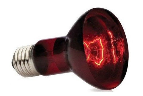 Лампа инфракрасная Hagen R20/50W для террариума фото №1