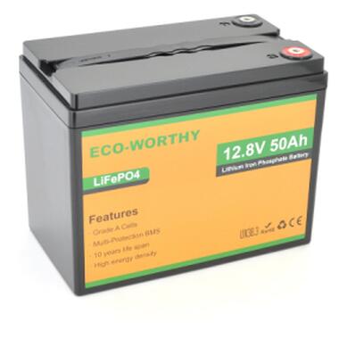 Батарея LiFePo4 Dyness 12,8V 50Ah (50/50A) (Eco-Worthy-1250) фото №1