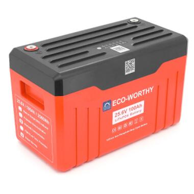 Батарея LiFePo4 Dyness 25,6V 100Ah (100/100A) (Eco-Worthy-251004) фото №3