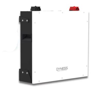 Батарея LiFePo4 Dyness DL5.0C Heat 51.2V/100Ah 5,12kWh (DL5.0C-H) фото №1