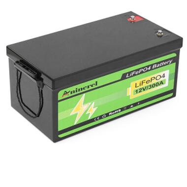 Батарея LiFePo4 ANENJI ANJ-12V-300AH-PX 12,8V 304Ah, 3.84kWh (ANJ-12V-300AH-PX) фото №1