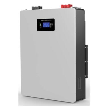 Батарея LiFePo4 SVC 51.2V 100Ah 5120Wh (FBP48-100) фото №2