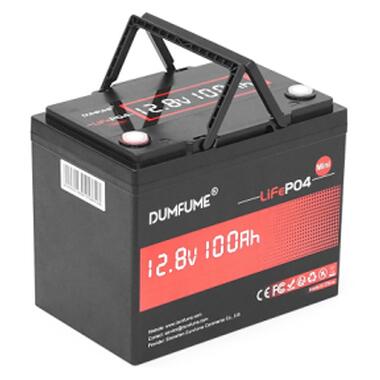Батарея LiFePo4 Dumfume 12,8V 100Ah 1280Wh (Dumfume-12,8V/100Ah-MINI) фото №1
