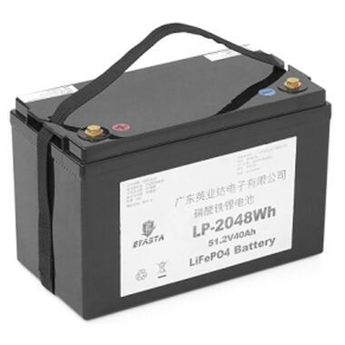 Батарея LiFePo4 Eyasta 51,2V 40Ah 2048Wh (LP-2048Wh) фото №1