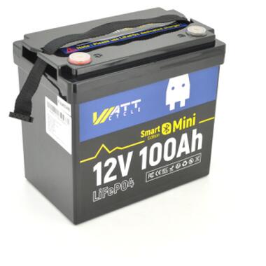 Батарея LiFePo4 WattCycle 12,8V 100Ah, 1,28kWh, Bluetooth (WT12V100AH100MINIBT) фото №1