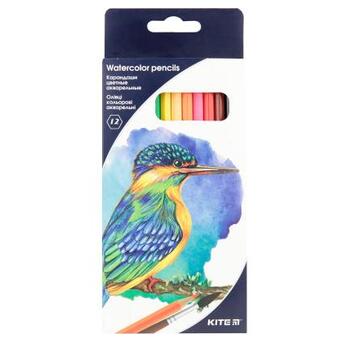 Олівці кольорові акварельні Kite Птахи 12 шт (K18-1049) фото №1
