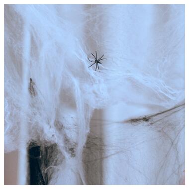 Павутина декор. Yes! Fun Хелловін 20 г, з двома павучками, біла (973671) фото №6