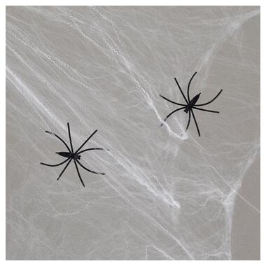 Павутина декор. Yes! Fun Хелловін 20 г, з двома павучками, біла (973671) фото №1