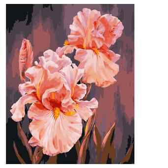Картина за номерами Art Craft Розовые ирисы 13140-AC 40х50 см  фото №1