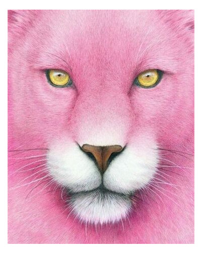 Картина за номерами Strateg Рожева пантера (VA-1140) фото №1