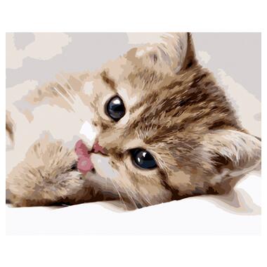 Картина за номерами Strateg ПРЕМІУМ Маленьке кошеня розміром 40х50 см (GS1133) фото №1