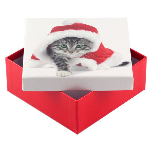 Коробка подарункова ООТВ Santa Cat 12 х 12 х 8 см фото №1