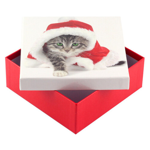 Коробка подарункова ООТВ Santa Cat 16 х 16 х 8 см фото №1