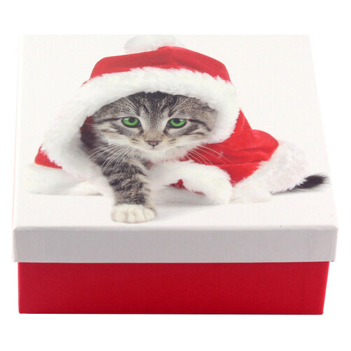 Коробка подарункова ООТВ Santa Cat 16 х 16 х 8 см фото №2