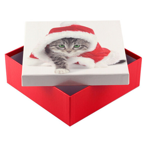Коробка подарункова ООТВ Santa Cat 20 х 20 х 8 см фото №1