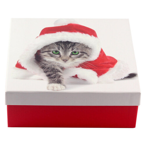 Коробка подарункова ООТВ Santa Cat 20 х 20 х 8 см фото №2