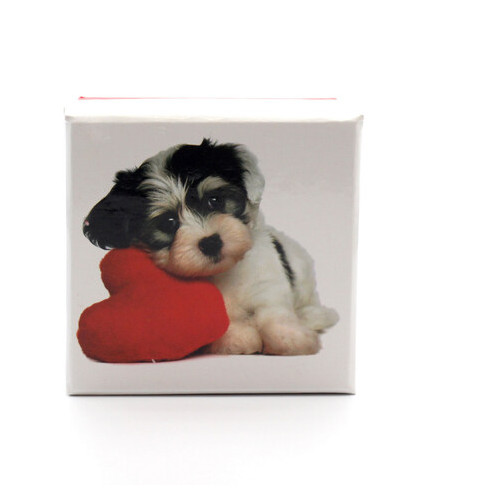 Коробка подарункова ООТВ Собака із серцем 8 х 8 см фото №1