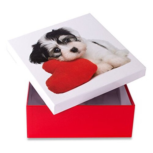 Коробка подарункова Собака із серцем 14 х 14 см фото №1