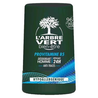 Дезодорант L'Arbre Vert для чоловіків з провітаміном В5 50 мл (3450601032455) фото №1