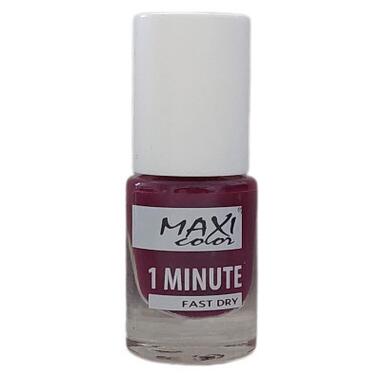 Лак для нігтів Maxi Color 1 Minute Fast Dry 041 (4823082004508) фото №1