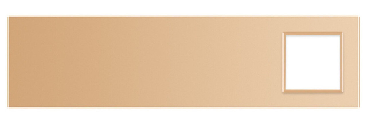 Сенсорна панель комбінована Livolo для вимикача X сенсорів та розетки (Х-Х-Х-0) золото фото №2
