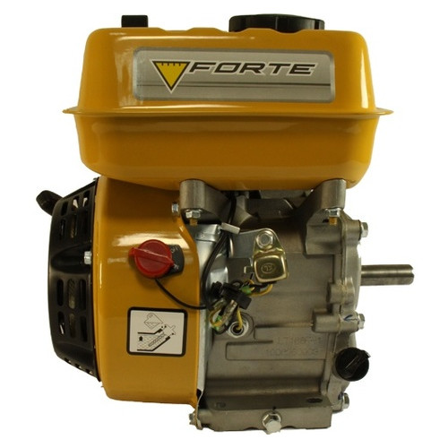 Двигун бензиновий Forte F200G (29962) фото №1