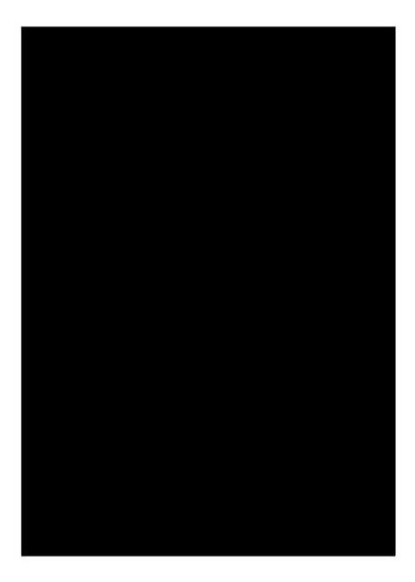 Тканинний фон Weifeng WOB2002 2.6x6m Black фото №1