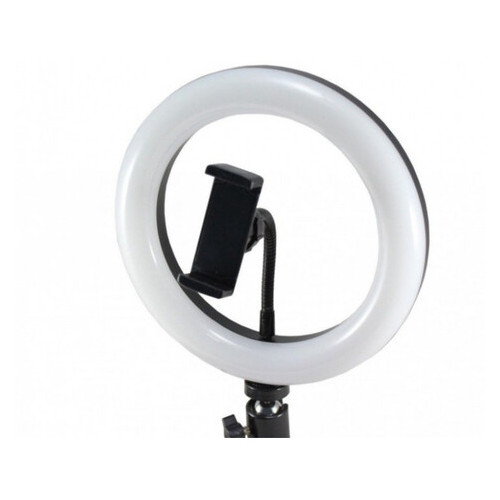 Кільцева LED лампа YQ 320B 30 см 30 W + Тримач для телефону фото №5