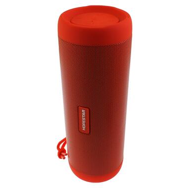 Портативная Bluetooth колонка XPRO Hopestar P4 (32868-01_577) фото №1