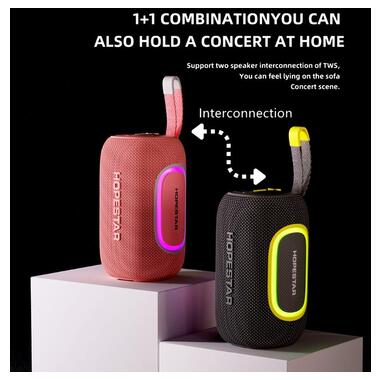 Портативная колонка HOPESTAR P65 (41089-P65_1016) фото №6