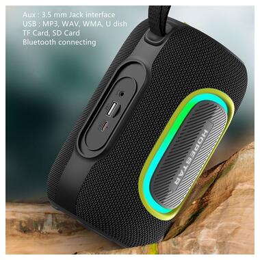 Портативная колонка HOPESTAR P65 (41089-P65_1016) фото №2