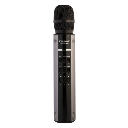 Колонки Bluetooth Semetor S603 Pro Karaoke Stereo Silver фото №1