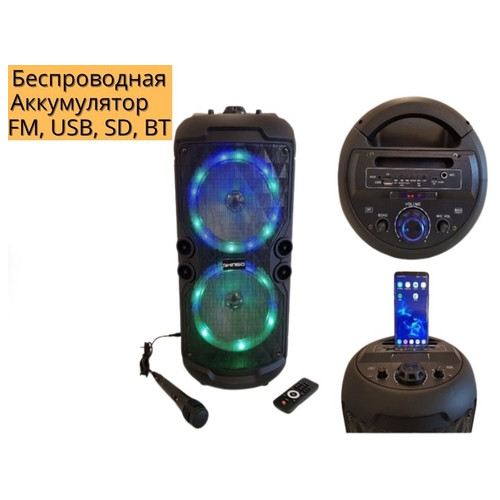 Автономна акустична система XPRO QS-A282 валіза 30Вт, USB, SD, FM радіо, Bluetooth, 1 мікрофон, ДУ чорна (QS-A282) фото №3