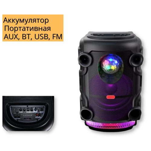 Автономна акустична система XPRO TMS-1210 колонка валіза 100Вт USB, SD, FM радіо, Bluetooth, ДУ чорна (TMS-1210) фото №2