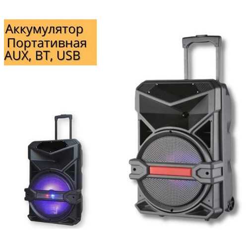 Акумуляторна акустична система XPRO UF-1716 колонка валіза 80Вт USB, SD, FM радіо, Bluetooth, мікрофон, ДУ чорна (UF-1716) фото №2
