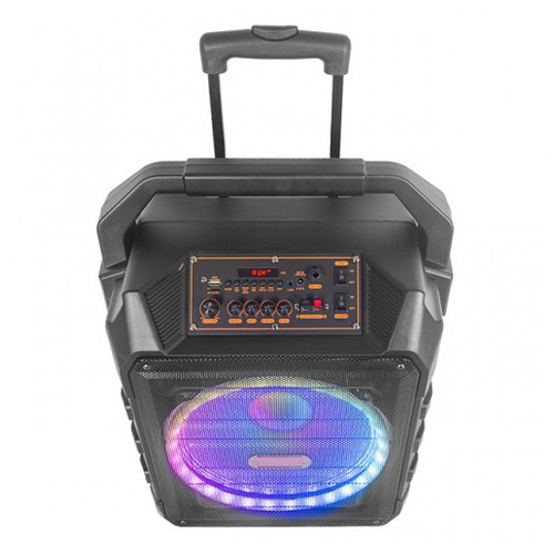 Акумуляторна акустична система XPRO UF-982 колонка валіза 150Вт USB, SD, FM радіо, Bluetooth, мікрофон, ДК (UF-982) фото №4