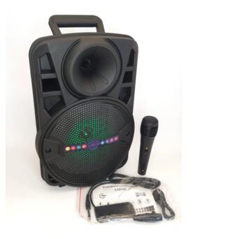 Портативна колонка XPRO ALP-803 валіза 30Вт, USB, SD, FM радіо, Bluetooth, 1 мікрофон, ДУ чорна (ALP-803) фото №6