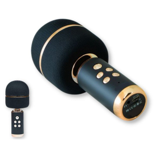 Портативна колонка караоке-мікрофон XPRO D36 10Вт USB, AUX, Bluetooth чорна (ЦУ-00035213-mms) фото №1