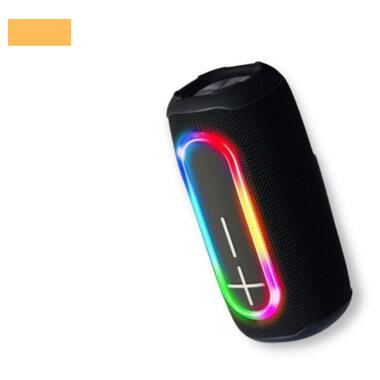 Портативная колонка XPRO P60 20Вт USB, AUX, FM, Bluetooth черная (41091-P60) фото №1
