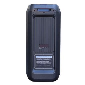 Портативна колонка XPRO RAVE 208-07 валіза 150Вт, USB, SD, FM радіо, Bluetooth, 2 мікрофони, ДК (41189-208-07) фото №3