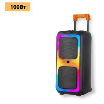Портативна колонка валіза XPRO NDR-1097 100Вт, USB, SD, FM радіо, Bluetooth, 1 мікрофон, ДК (41190-NDR-1097) фото №2