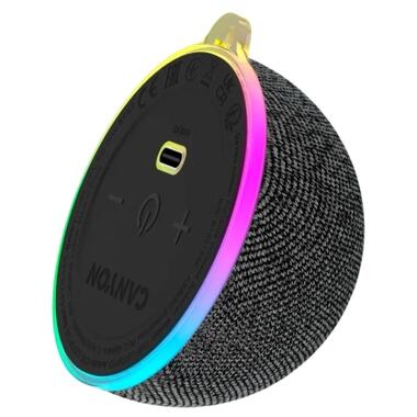 Акустическая система Canyon OnMove 13 Black (CNE-CBTSP13B) фото №1